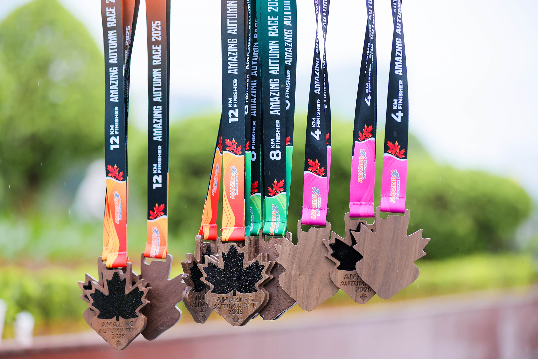 Bước chạy m&ugrave;a thu 2025 Kiến Tr&uacute;c A Cộng